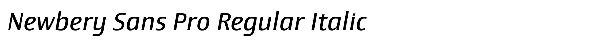 Newbery Sans Pro Regular Italic image